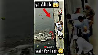 Miracle of Allah  || Allah hu Akbar  # shorts #islam