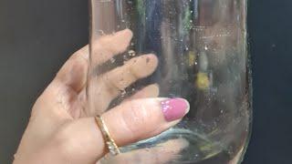 How To Remove Labels from an empty Glass Jar  Easily#shorts