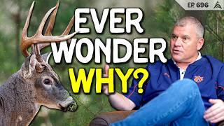 Why Deer Stop Moving When You Start Hunting and The SOLUTION | Dr. Stephen Ditchkoff
