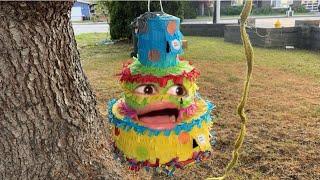 Life of A Piñata