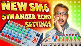 New Stranger SM6- 6 chanel mixer with echo- echo settings review