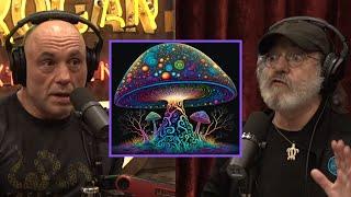 Paul Stamets Shares WILDEST Mushroom Trip Story