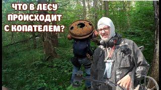 ЧТО ПРОИСХОДИТ В ЛЕСУ С КОПАТЕЛЯМИ?