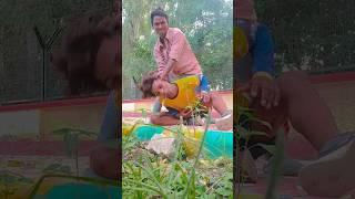 gardan Dhadkan Tod Diya #comedy #funny Harikesh Halchal hightake ka Babulal babuni ladchat comedy