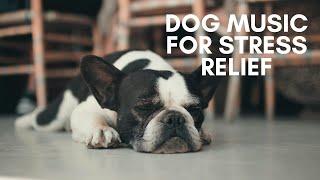 Relaxing Music for Dogs  Soothing Sounds to Ease Anxiety and Promote Rest