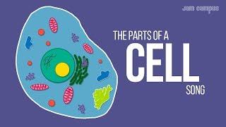 THE PARTS OF A CELL SONG | Science Music Video