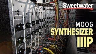 Moog Synthesizer IIIP Modular Synthesizer — Daniel Fisher