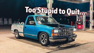 Too Stupid to Quit! Reviving the OBS for War in the Woods