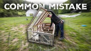 Don't Make This (Common) Mistake, Homesteading