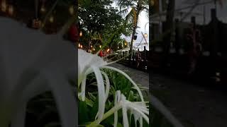 Full Sexy No Sensor Bali Beach