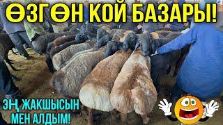 КОЙЛОР КОЗУЛАР АРЗАН БОЛДУБУ?  #байтв