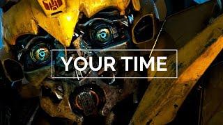 40 Years of Bumblebee