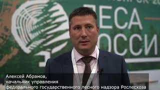 «Леса России 2022». Алексей Абрамов о пользе биржевых торгов