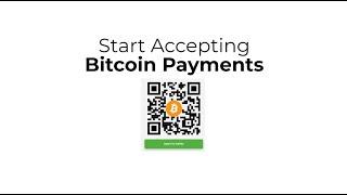 Start Accepting Bitcoin Payments   How to Set up a BTCPayServer Online Store Part 1