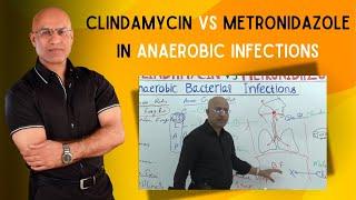 Clindamycin vs Metronidazole | Anaerobic Infections