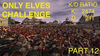 Third Age: Total War [DAC v5] - Dorwinion (Elves Only Challenge) 12: Nobles of Dorwinion