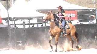 Eloah Oliveira 3 Tambores
