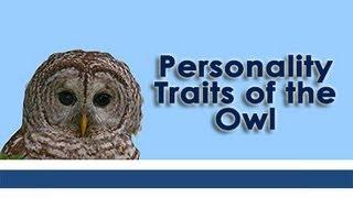 Personality Traits of the Owl