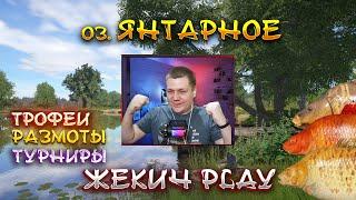 ЛОВИМ КАРПОВ | КАТАЕМ ТУРИКИ на оз. ЯНТАРНОЕ | РУССКАЯ РЫБАЛКА 4 | СТРИМ