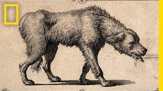 Crazy History Lesson: How the Rabies Vaccine Came to Be | National Geographic