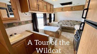 Tour of My Winter Wildcat Travel Trailer/Life in a Tiny Scamp Trailer with 2 Cats