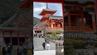 WALKING IN KIYOMIZUDERA SHRINE KYOTO, JAPAN 4K WALKING TOUR #shorts #youtubeshorts #walkingtour