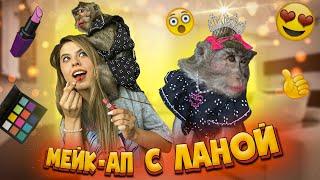 ОБЕЗЬЯНА ДЕЛАЕТ МНЕ МАКИЯЖ | фейл