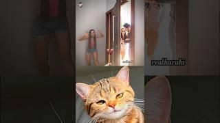 dangerous movement  #cat #meme #dance #trending