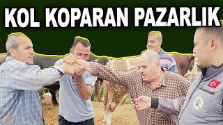 KURBANLIK PAZARLIĞI BÖYLE OLUR 2025
