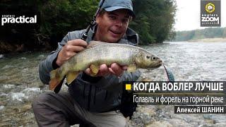 Когда воблер лучше. Голавль и форель на горной реке. Алексей Шанин. Anglers Practical