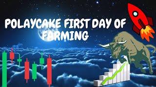 PolyCake first day of farming! Gondola finance returns?