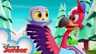 Freddy's Never-Ending Birthday  | T.O.T.S. | @disneyjr