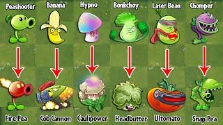 PvZ 2 Discovery - Plants Evolution WEAK - STRONG