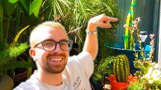DIY Dragon Fruit Trellis for Small Garden!