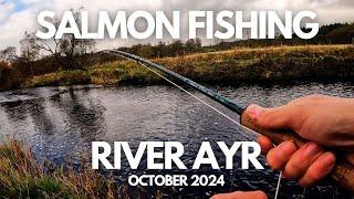 Last cast for a 2024 salmon on the river Ayr at Muirkirk 