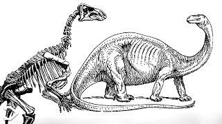 The Crazy Story Of The FIRST Dinosaur Discovery