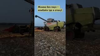 Claas Lexion 450 рве кукурудзу! #lexion #claas #corn #harvest