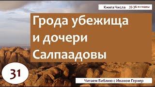 31 І Числа 35-36 гл. І Города убежища и дочери Салпаадовы