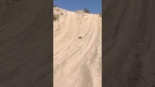 Traxxas Stampede 2wd vs. Hill Climb