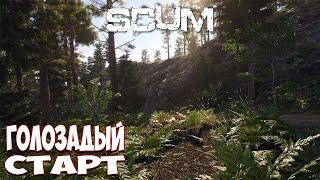 Выживание в SCUM | Новый старт.