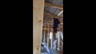 Before/After Pole Barn Transformation