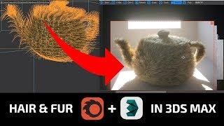 Creating hair and fur 3ds Max + Corona