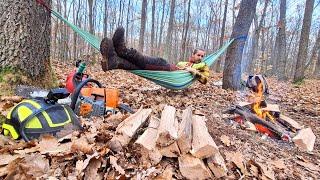 Comfort and relaxation when harvesting wood on a slope, Amles, MS 361, Zetor, Forestwork