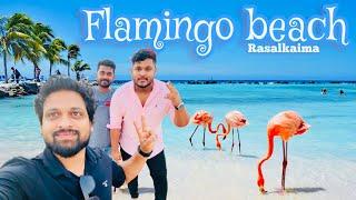 FLAMINGO BEACH in Ras Al Khaimah SummerGetaway in UAE in Dubai