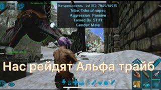 Нас рейдят Альфа трайб ПВП | ARK survival evolved mobile