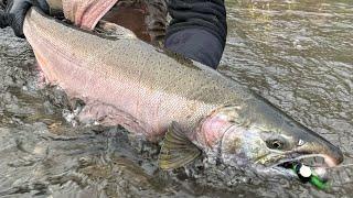 High Water Salmon Fishing Tips & Tricks (Small Rivers & Creeks)