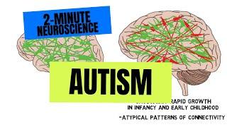 2-Minute Neuroscience: Autism