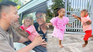 Best moments! Cutis said goodbye adoptive dad & Journey back home! Full version