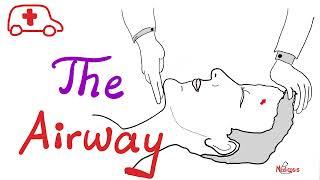 Airway - Oropharyngeal Airway (OPA) vs. Nasopharyngeal Airway (NPA) - Ventilation - Suctioning - EMS