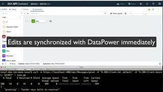 API Policy Development with DataPower in API Connect Toolkit